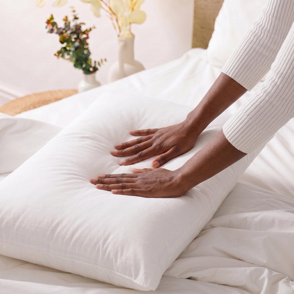Fine Feather & Cotton Co. Luxury Down Pillow Standard-Pillows