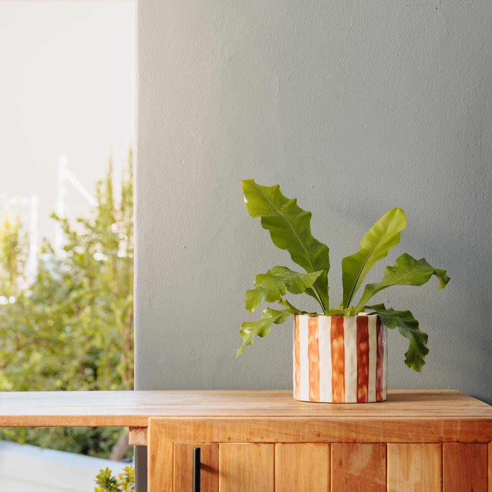 Home.Life Planter Natural Bold Stripe Autumn-DÃ©cor