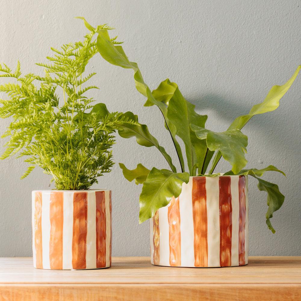 Home.Life Planter Natural Bold Stripe Autumn-DÃ©cor