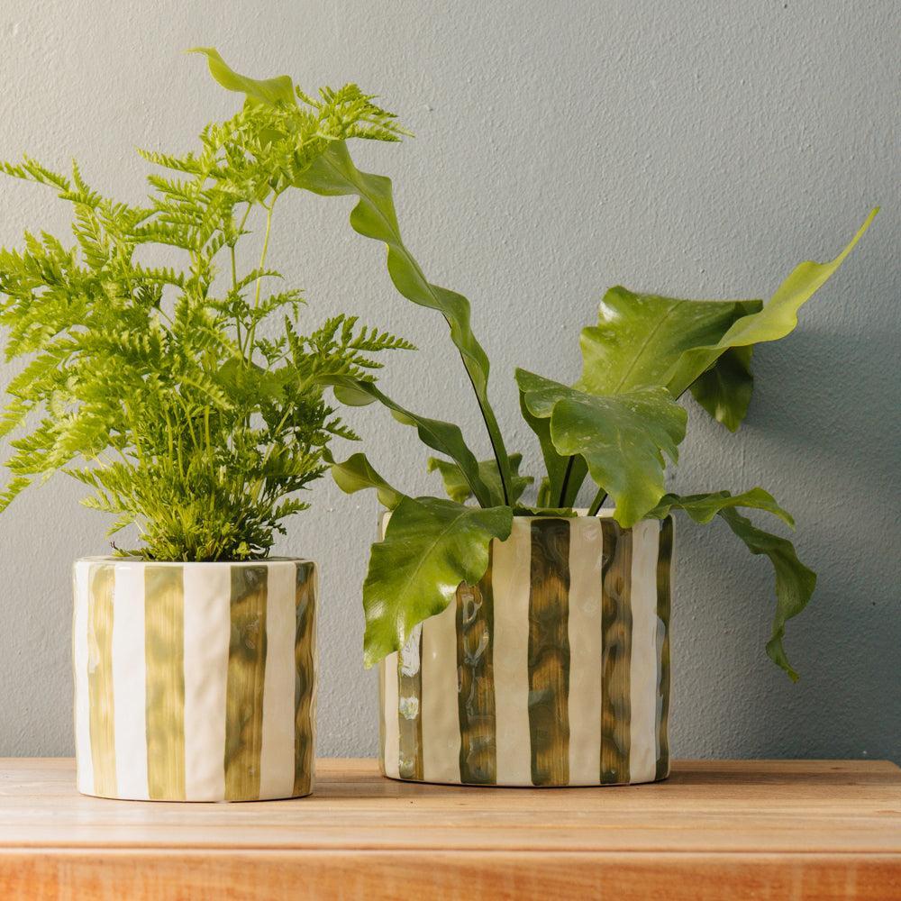 Home.Life Planter Natural Bold Stripe Forest-DÃ©cor