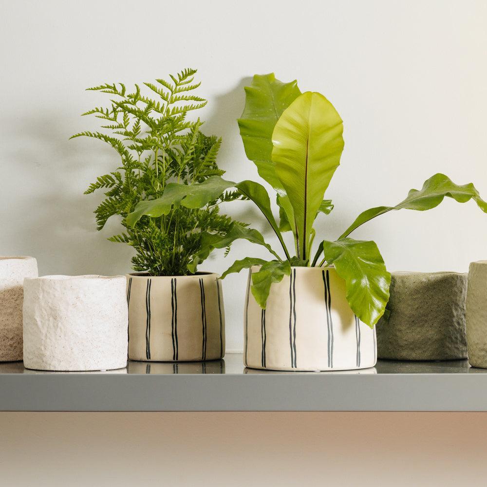 Home.Life Planter Natural Double Stripe Black-DÃ©cor