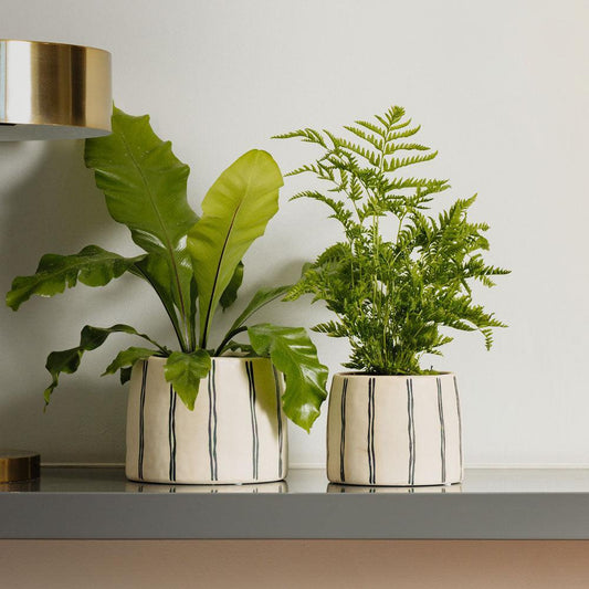 Home.Life Planter Natural Double Stripe Black-DÃ©cor
