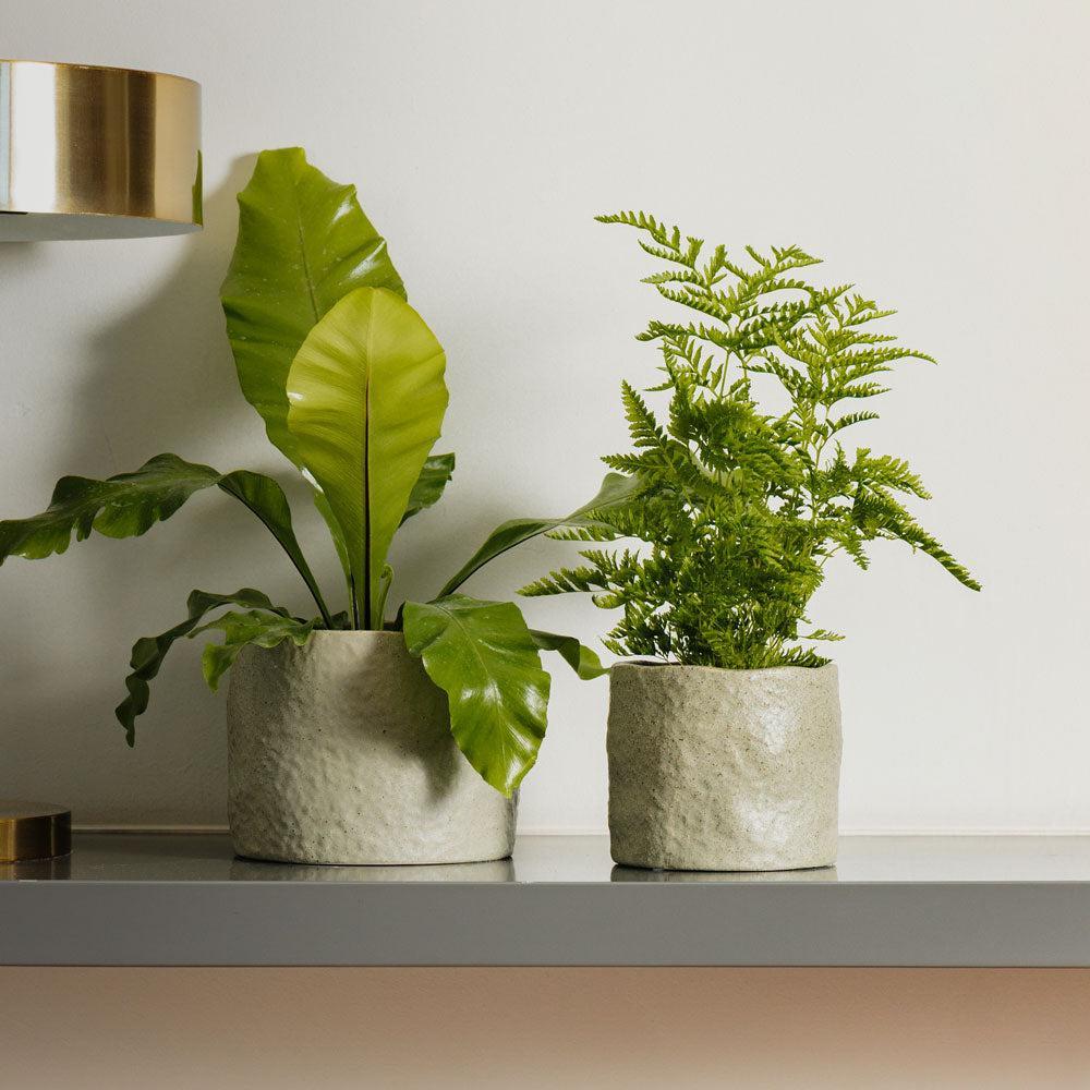 Home.Life Shaped Planter Organic Dusty Green-DÃ©cor