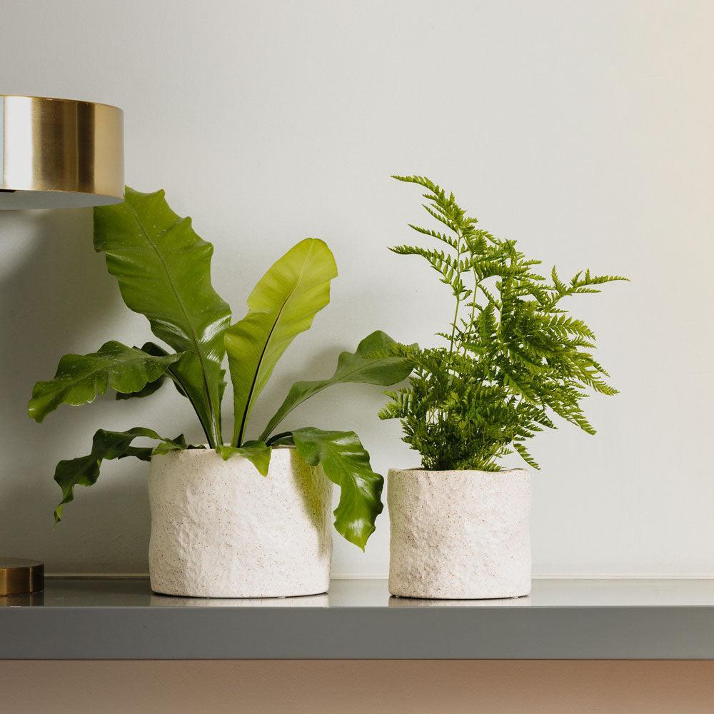 Home.Life Shaped Planter Organic Natural Ivory-DÃ©cor